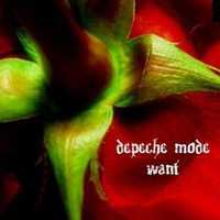 pelicula Depeche Mode. Want. 2009